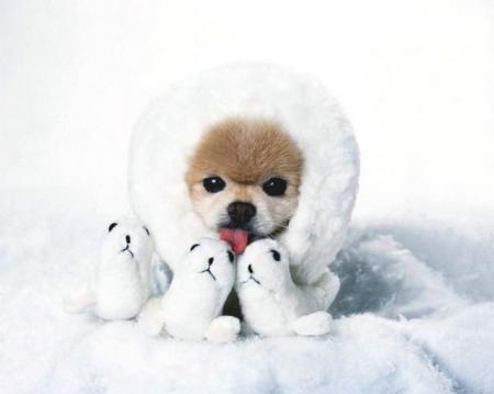 j'ai froid!!!!!